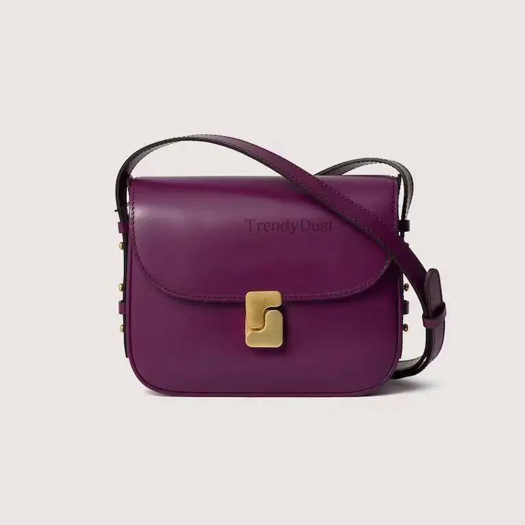 NEW Fashion French Head Layer Cowhide Small Square Bag Ladies Temperament Black Classic Small Shoulder Crossbody Bag Ladies Bag